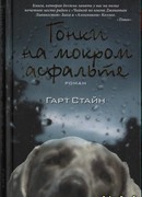 Гонки на мокром асфальте