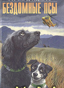 Бездомные псы