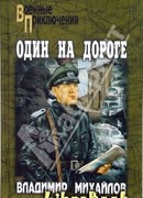 Один на дороге