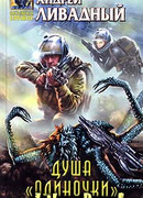 Душа одиночки