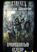 Тринадцатый сектор