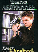 Камни последней стены