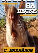 КРЫСЫ НА ПЕСКЕ