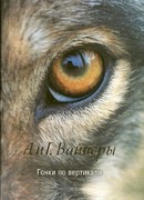 Гонки по вертикали