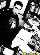 Солнце и сталь