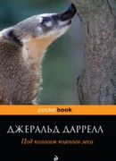 Под пологом пьяного леса