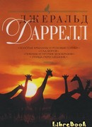 Пикник и прочие безобразия