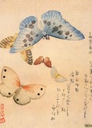 Сусоноо-но микото на склоне лет