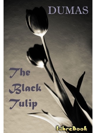 книга Чёрный тюльпан (The Black Tulip: La Tulipe noire) 02.05.13