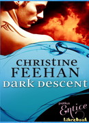 Тёмный спуск