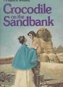 Крокодил на песке