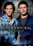 И прошел год