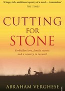 Рассечение Стоуна