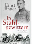 В стальных грозах