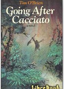 Вслед за Каччато