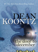 Дверь в декабрь