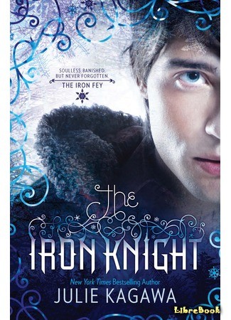 книга Железный рыцарь (The Iron Knight) 29.04.14