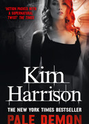 Тень демона