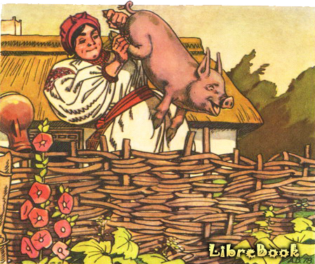 Читать бесплатно электронную книгу Кайдашева семья (Кайдашева сім'я ...