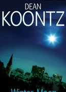 Зимняя луна