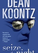 Скованный ночью