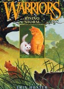 Бушующая стихия