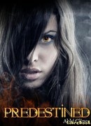 Предопределенность