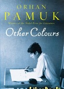 Другие цвета