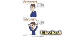 Непобедимый интроверт