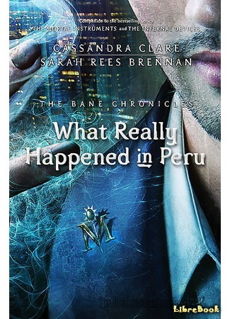 книга Что на самом деле произошло в Перу 04.02.15