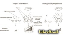 Кто бы мог подумать! Как мозг заставляет нас делать глупости