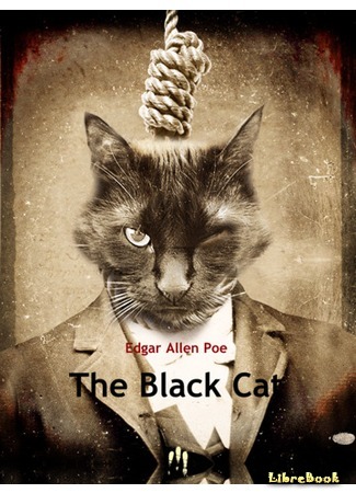 книга Черная кошка (The Black Cat) 07.04.15
