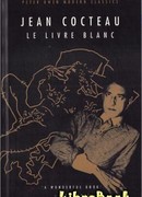 Белая книга