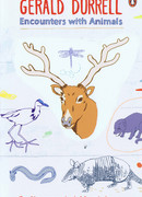 Знакомство с животными