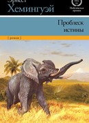 Проблеск истины