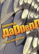 Птица-пересмешник