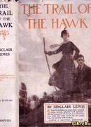 Полет сокола