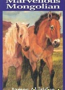 Удивительный монгол