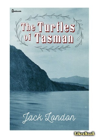 книга Черепахи Тасмана (The Turtles of Tasman) 01.07.15