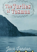 Черепахи Тасмана