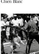 Белая собака