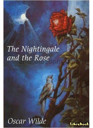 книга Соловей и роза (The Nightingale and the Rose) 04.08.15