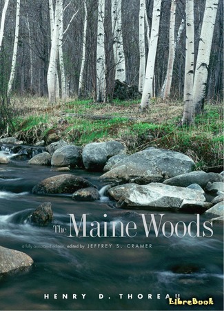 книга Леса Мэна (The Maine Woods) 16.08.15