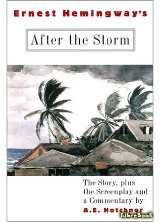 книга После шторма (After the Storm) 27.08.15