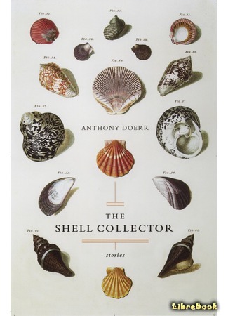 книга Собиратель ракушек (The Shell Collector: Stories) 15.09.15