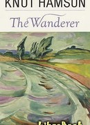 Странник играет под сурдинку