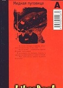 Медная пуговица