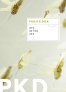 Глаз в небе