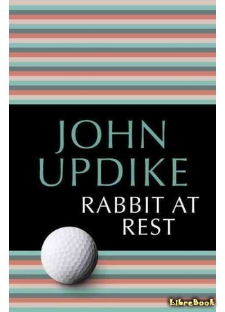 книга Кролик успокоился (Rabbit At Rest) 09.12.15