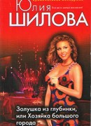 Золушка из глубинки, или Хозяйка большого города